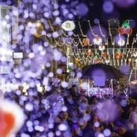 Start the festive season in style as Pontefract, Castleford and Ossett light up this November