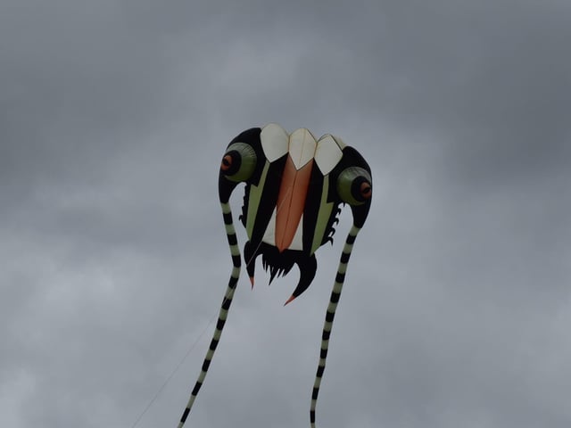 Up, up and away. One of the kites at the festival