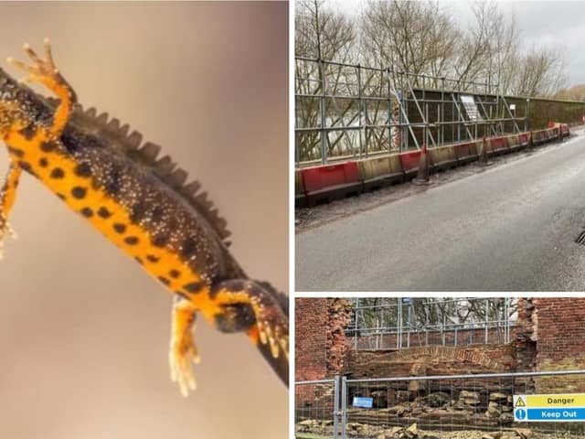 Repairs to an 18th century bridge near to Nostell Priory have been delayed by the discovery of great crested newts.