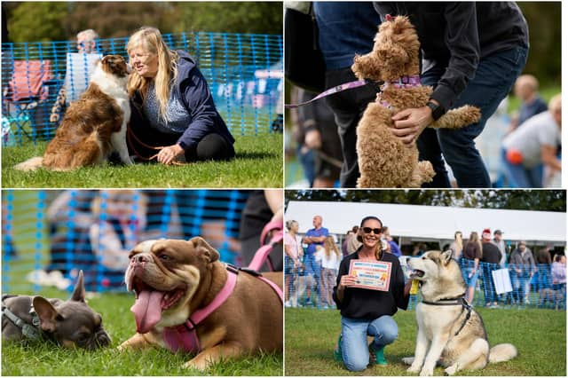 The RSPCA’s annual dog show and family fun day returned on Saturday.