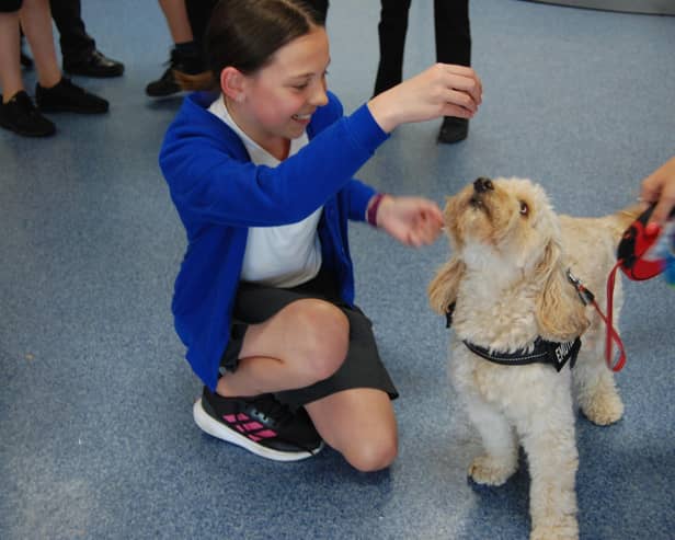 The visitors got the chance to take part in several activities throughout the week - including meeting the School therapy dog, Freddie