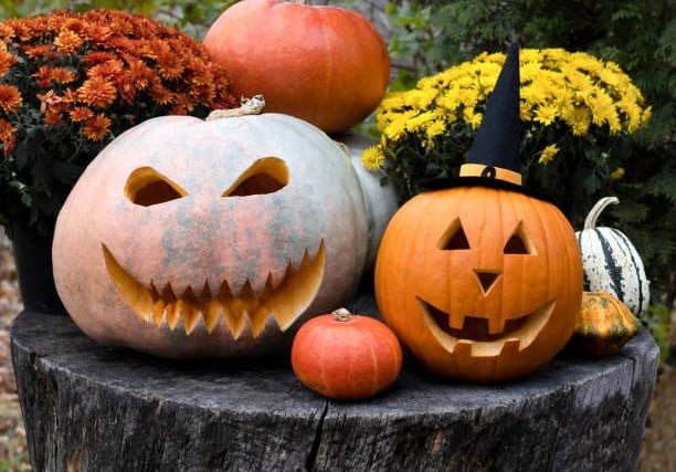 Get ready for a frightfully fun day at Normanton's Pumpkin Festival! On Friday 3 November, starting at 10am, the district will be transformed into a Halloween wonderland.