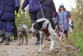 The Wakefield and Leeds Branch of the RSPCA's Paws 4 a Christmas Walk took place on Sunday.