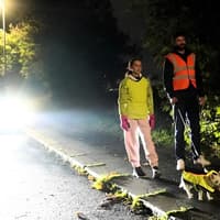 'Be bright be seen': Region’s road safety partnership shares plea as clocks go back this weekend