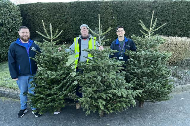 Pictures from the Christmas tree collection scheme in 2022, with The Prince of Wales Hospice