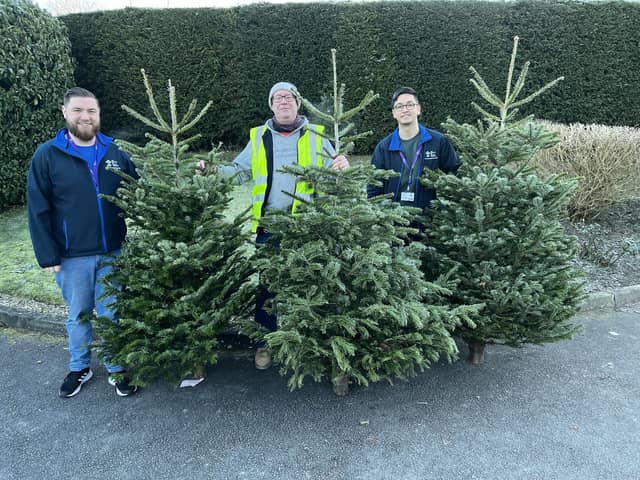 Pictures from the Christmas tree collection scheme in 2022, with The Prince of Wales Hospice
