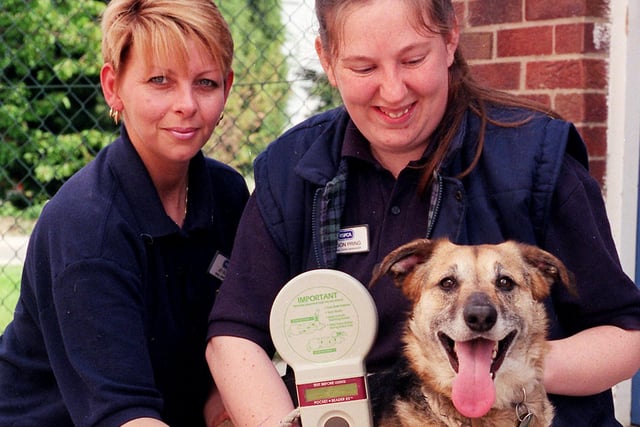 Microchipping cats and dogs for their owners are Jo Scott of the Small Animals Unit and animal care manager Alison Pring with Oliver at the South Yorkshire Animal Centre RSPCA Doncaster in May 2000