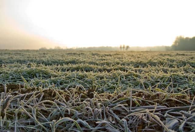 Frosty mornings are on the way for Wakefield.