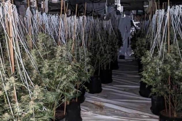 A large cannabis farm was uncovered in South Elmsall in February this year.