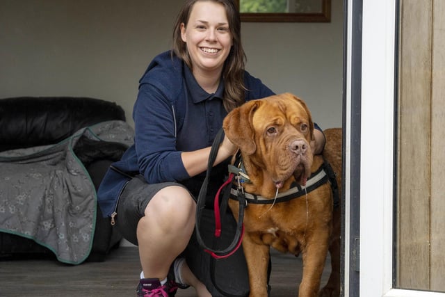 Explore the Wakefield RSPCA branch as they prepare to celebrate their ...