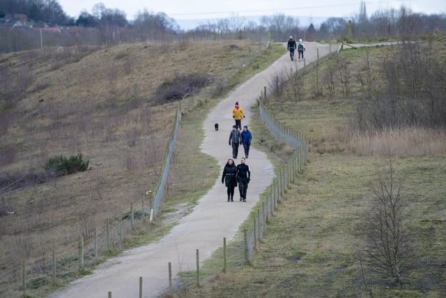 Head for a lovely winter walks through the Fairburn Ings Nature Reserve in Castleford.