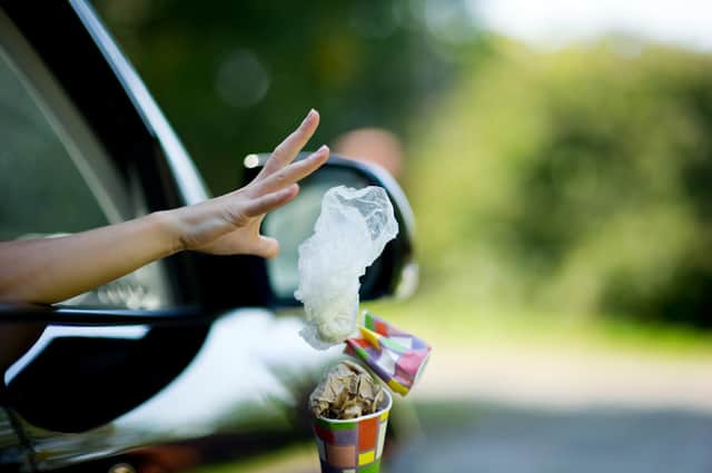 What sort of people throw rubbish out of the car window. Photo: AdobeStock