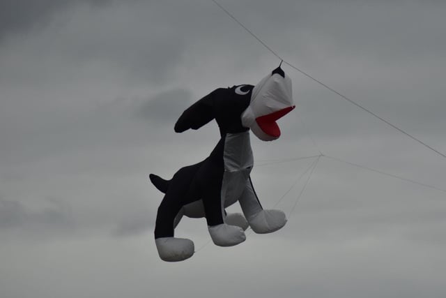 One of the professional kite flyers flew a dog kite.