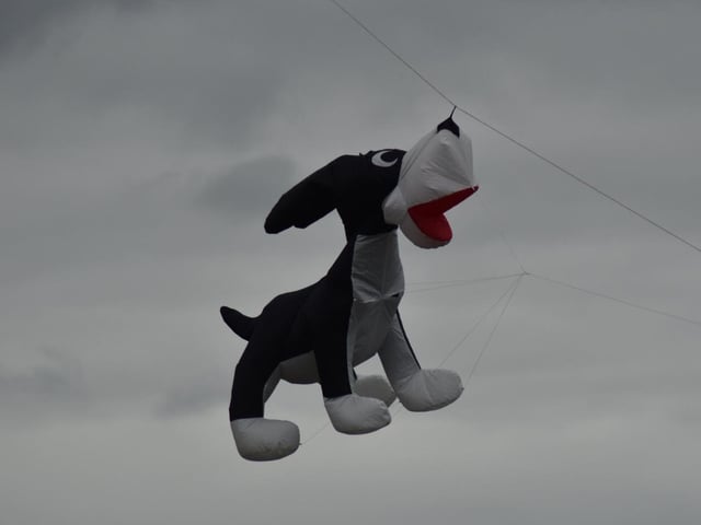 One of the professional kite flyers flew a dog kite.