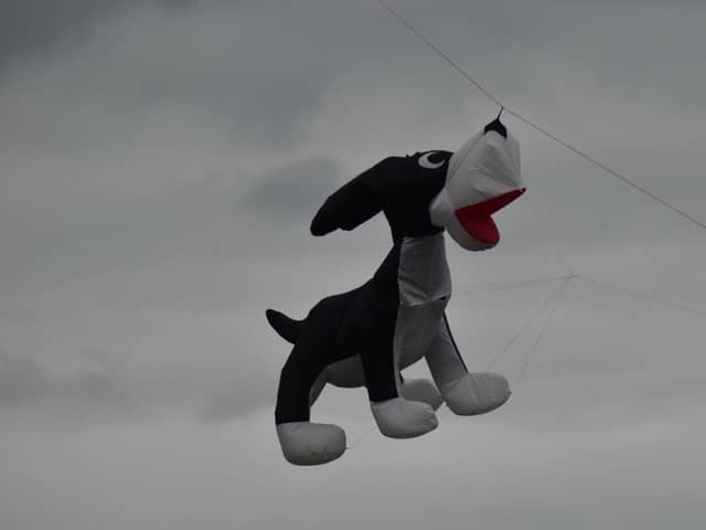 One of the professional kite flyers flew a dog kite.