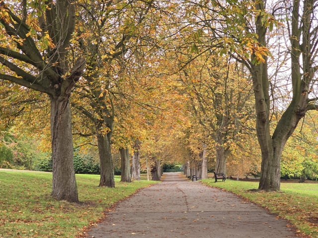 Autumn in Wakefield.