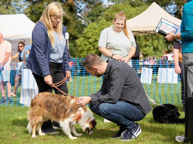MP for Wakefield and Rothwell Simon Lightwood helped to judge the Dog Show.