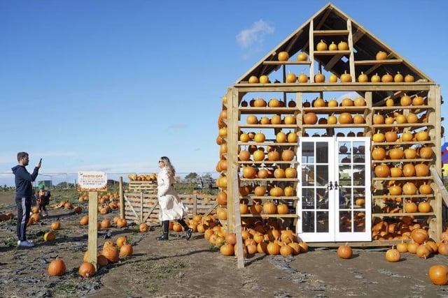 Thousands of pumpkin fans have been flocking to Farmer Copleys to take part in its famous annual Pumpkin Festival.
