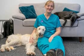 Megan Everett with her devoted Lurchers, Dodger (left) and Bambi. Photo: Chantry Vets