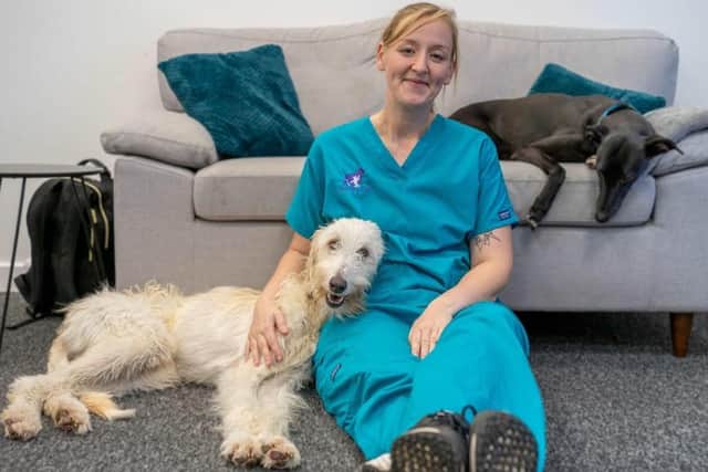 Megan Everett with her devoted Lurchers, Dodger (left) and Bambi. Photo: Chantry Vets