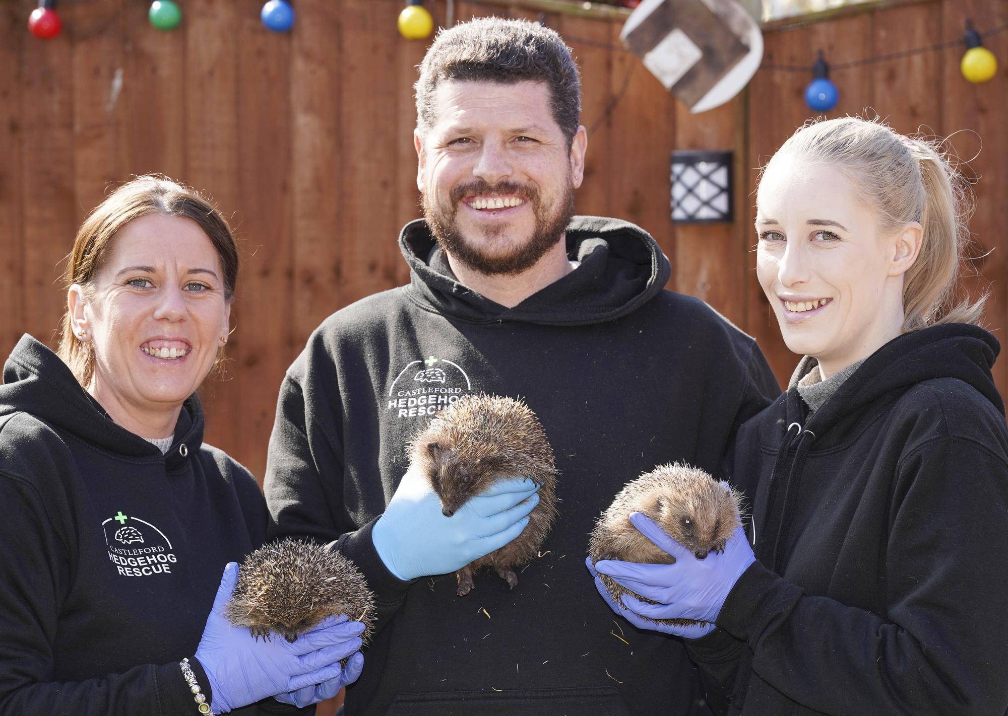 Garforth Hedgehog Rescue Castleford Hedgehog Rescue opens a second sanctuary in the district