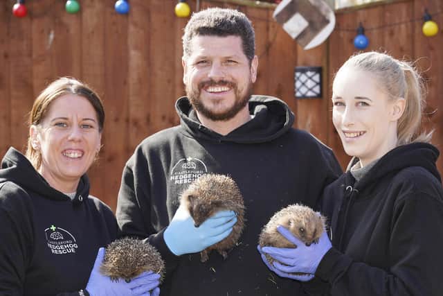 Gemma Lewis, Jak White and Beth Campsill at a new Hedgehog rescue centre that has opened in Castleford. Picture Scott Merrylees