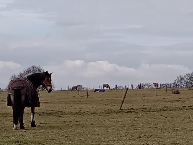 Denise Rowlinson shared a photo taken at Ledston Hall near Castleford.