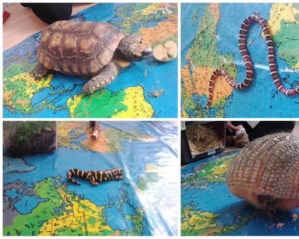 Newhaven service users got a taste of the safari with a visit from some interesting animals.