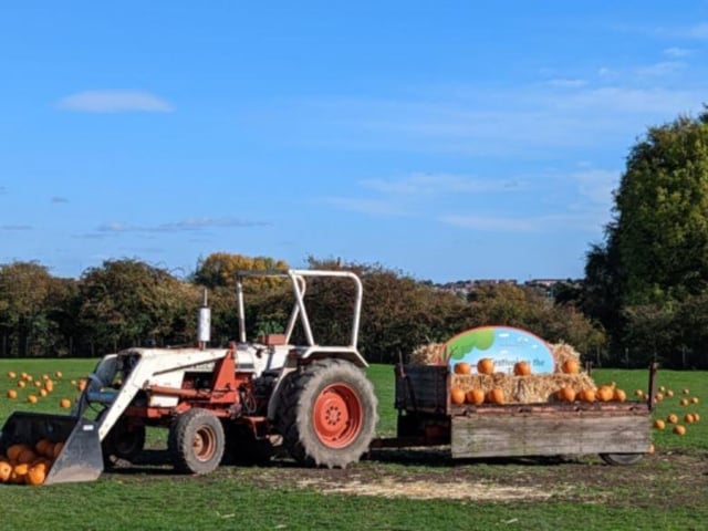 Enjoy pumpkin picking at The Watering Hole Farm on Gawthorpe Lane, Ossett. There will also be pumpkin carving competitions and fun fair rides. The event runs from October 13 to 31, from 10am to 4pm.
