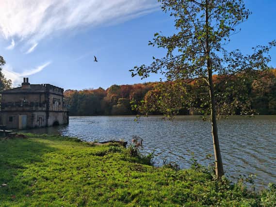 The incredible views of Newmillerdam Country Park, Wakefield.