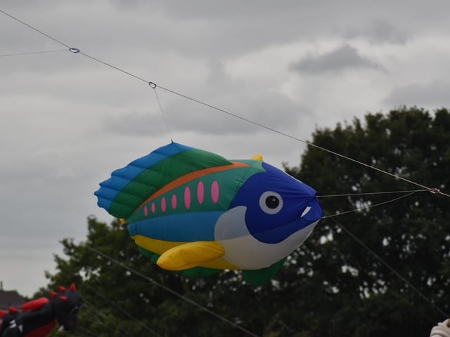 Creatures typically found in the depths of the ocean took to the sky.