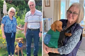 Julie and Paul, pictured with Corey, will be speaking about their experiences of looking after hero assistance dogs-in-training during an event taking place at The Cricketers Arms in Cluntergate, Horbury next month.
