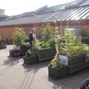 The Ridings mini allotments and the Sanctuary Garden run by social enterprise Grow Wakefield have been on the roof of the Ridings shopping centre for almost five years.