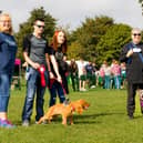 Over 100 dogs and their owners turned up to the inaugural Wakefield Walkies sponsored dog walk last year.