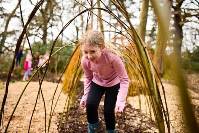 The willow tunnel at YSP's Little Wild Wood. The play area is mostly built of repurposed natural materials from around YSP's 500-acre site. Photo: © David Lindsay, courtesy YSP