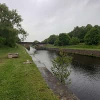 Ecological concerns raised over plans to build 151 canalside homes at City Fields