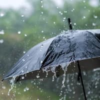 Storm Austen: Disruptive wind and rain expected as storm set to hit Wakefield this weekend
