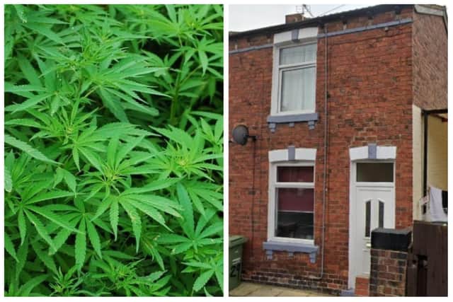 The plants were found at the property on Carlton Street in Horbury.