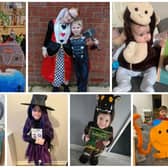 Here are some more of the amazing costumes across Wakefield, Pontefract and Castleford for World Book Day 2024!