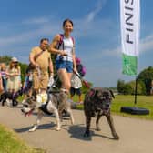 Best paws forward for Wakefield Hospice's charity dog walk