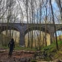 An urban explorer has explored the railway viaducts at Newmillerdam Country Park.