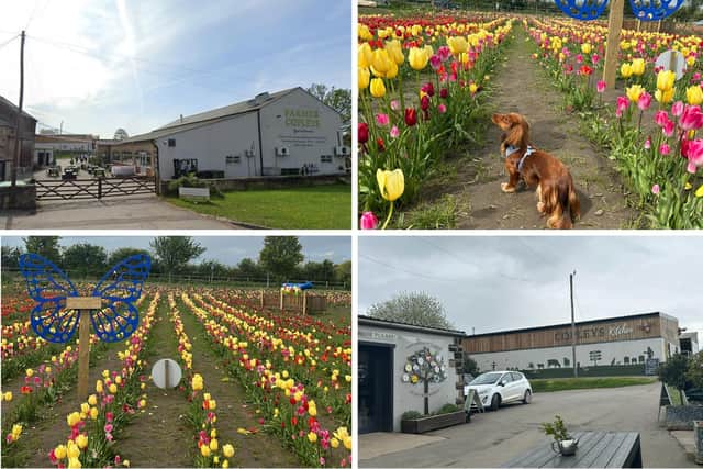 I spent the day at Farmer Copleys and here's what happened!