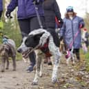 The RSPCA branch is inviting locals to take part in their annual Paws '4' a Christmas Walk, which returns next month.
