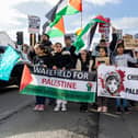 Hundreds gathered to share their support for Palestine and a ceasefire.