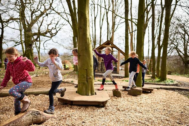 The Little Wild Wood at YSP provides an area for families to play in nature, with a willow tunnel, den-making area, tree stump stepping stones, and more. Photo: © David Lindsay, courtesy YSP