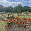 Friarwood Valley Gardens