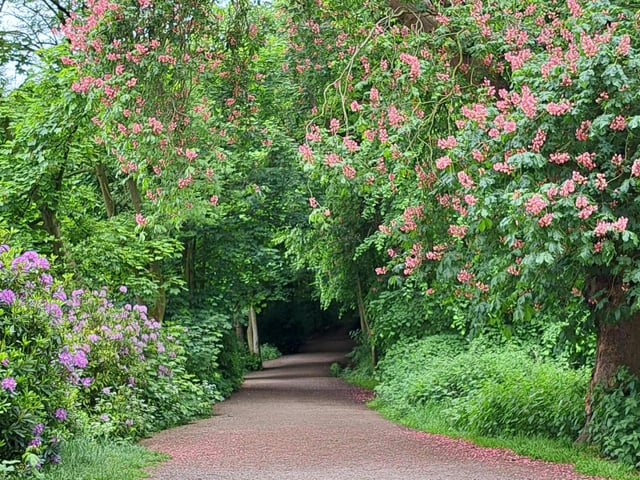 Donna Louise Johnson also shared this beautiful photo of the trail at Newmillerdam.