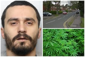 Picari was caught tending to a cannabis farm on Shepley Street in Wakefield. (pics by WYP / Google Maps / National World)
