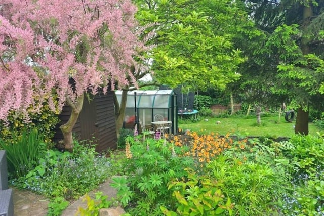 A view across the colourful, mature garden