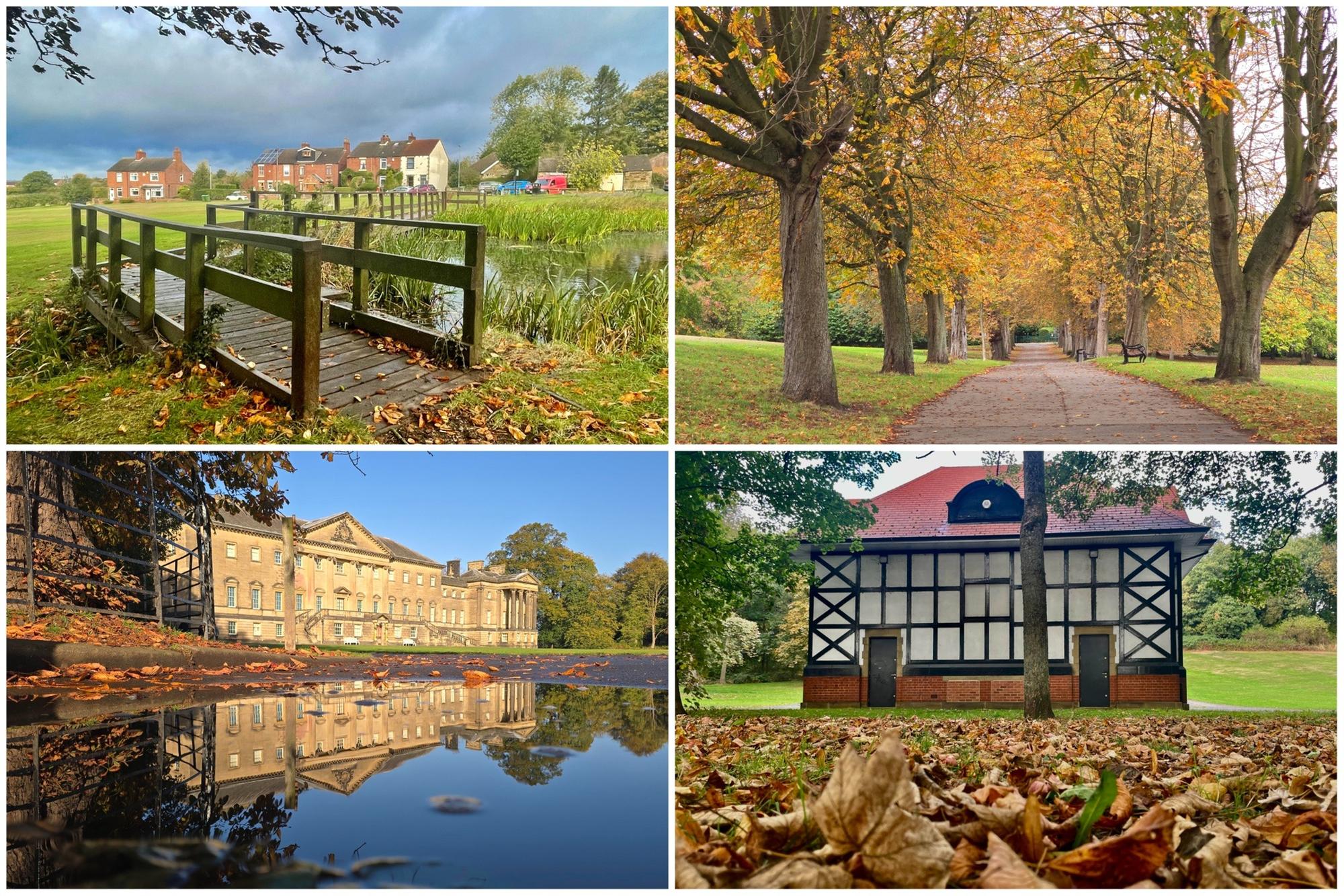 Readers have shared their best autumnal snaps.